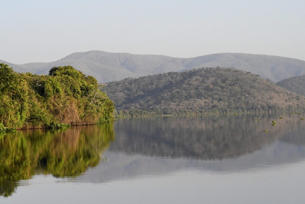 Dia Mundial do Meio Ambiente: Governo de MS e Consulado Geral dos EUA se unem para proteção do Pantanal