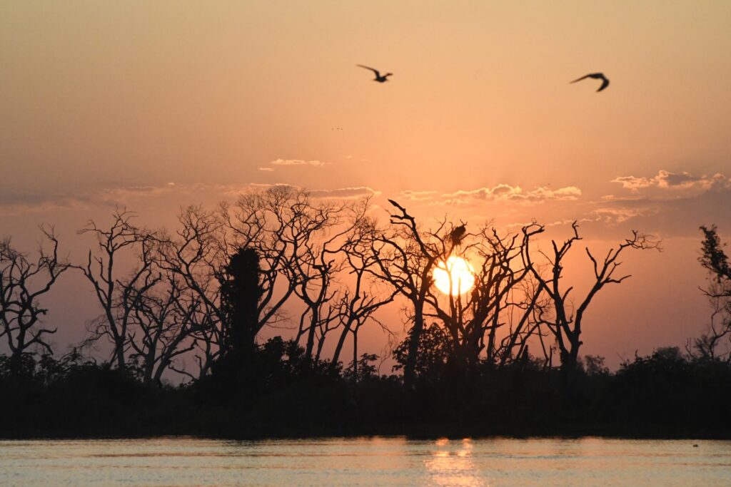 El Niño provoca situação climática extrema em MS, com alerta para incêndios florestais no Pantanal