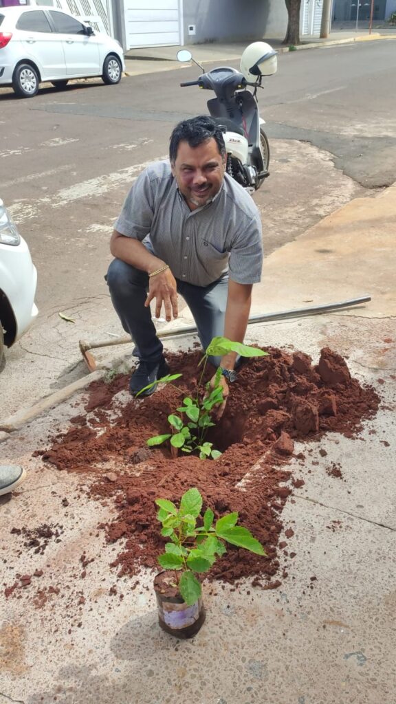 Brasilândia promove plantio de árvores para melhoria ambiental