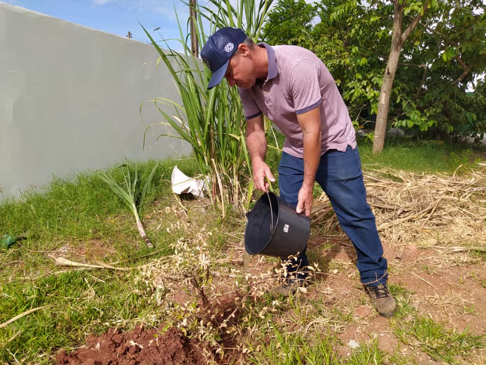 Brasilândia promove plantio de árvores para melhoria ambiental