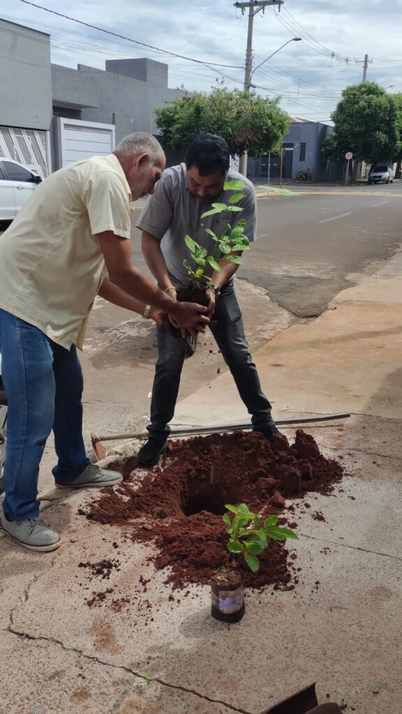 Brasilândia promove plantio de árvores para melhoria ambiental