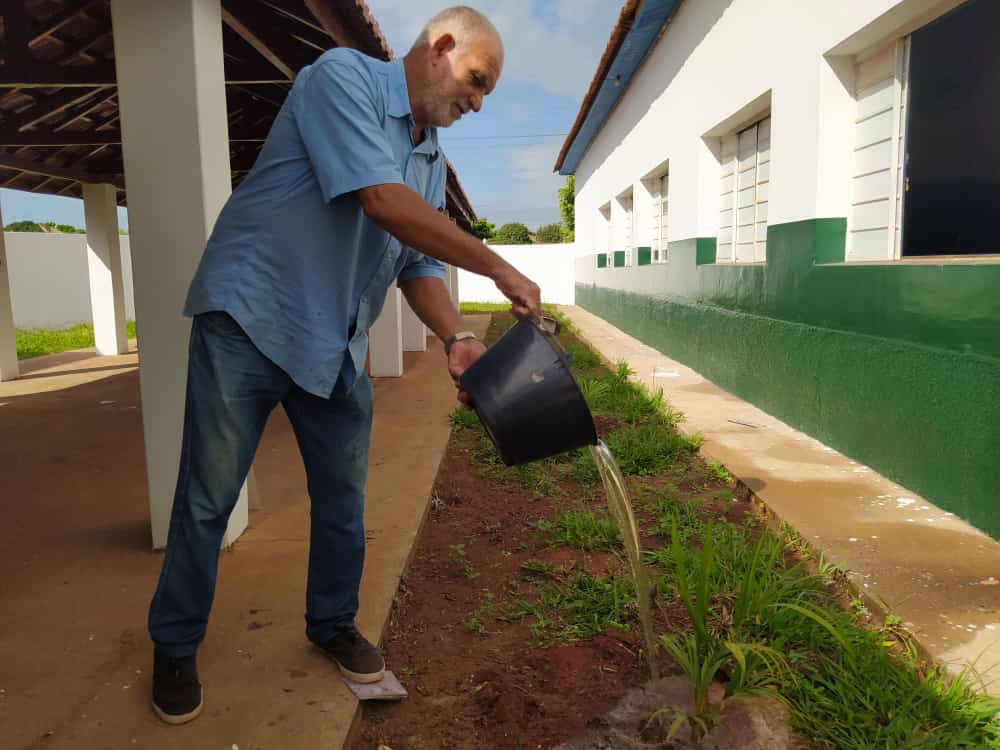 Brasilândia promove plantio de árvores para melhoria ambiental