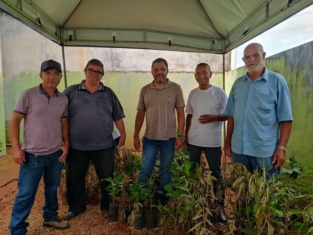 Brasilândia promove plantio de árvores para melhoria ambiental