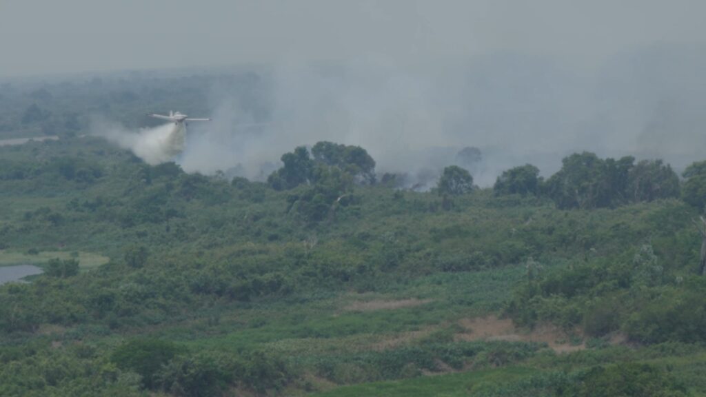 Com incêndio extinto no Pantanal de MS, bombeiros fazem monitoramento na Serra do Amolar