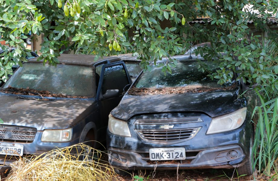 Prefeitura, Polícia Civil e PRF promovem ações no combate ao mosquito Aedes aegypti