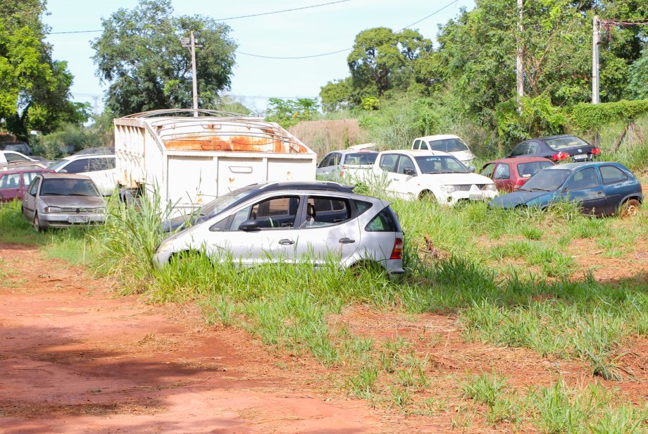 Prefeitura, Polícia Civil e PRF promovem ações no combate ao mosquito Aedes aegypti