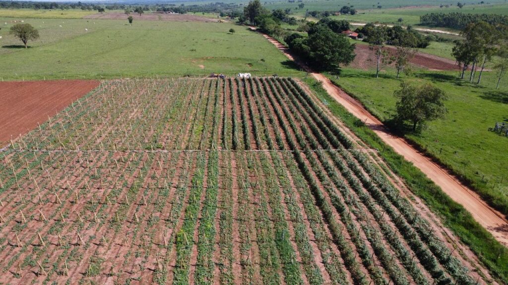 Produtores rurais falam sobre os benefícios da construção de ponte de concreto do Caraguatá