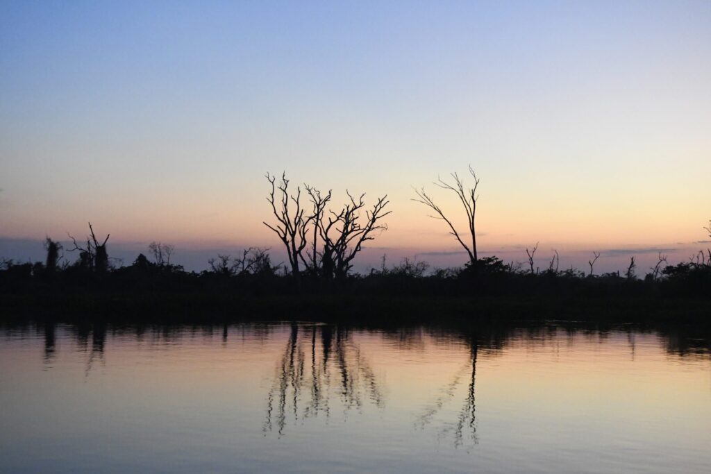 Com início do outono, estiagem ganha força e mantém alerta de incêndios florestais no Pantanal