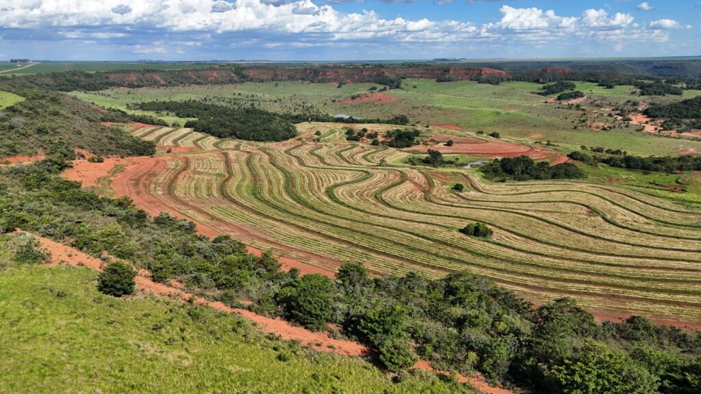 Com plantio de 270 mil mudas no parque estadual do Rio Taquari, MS realiza maior projeto de restauração do país