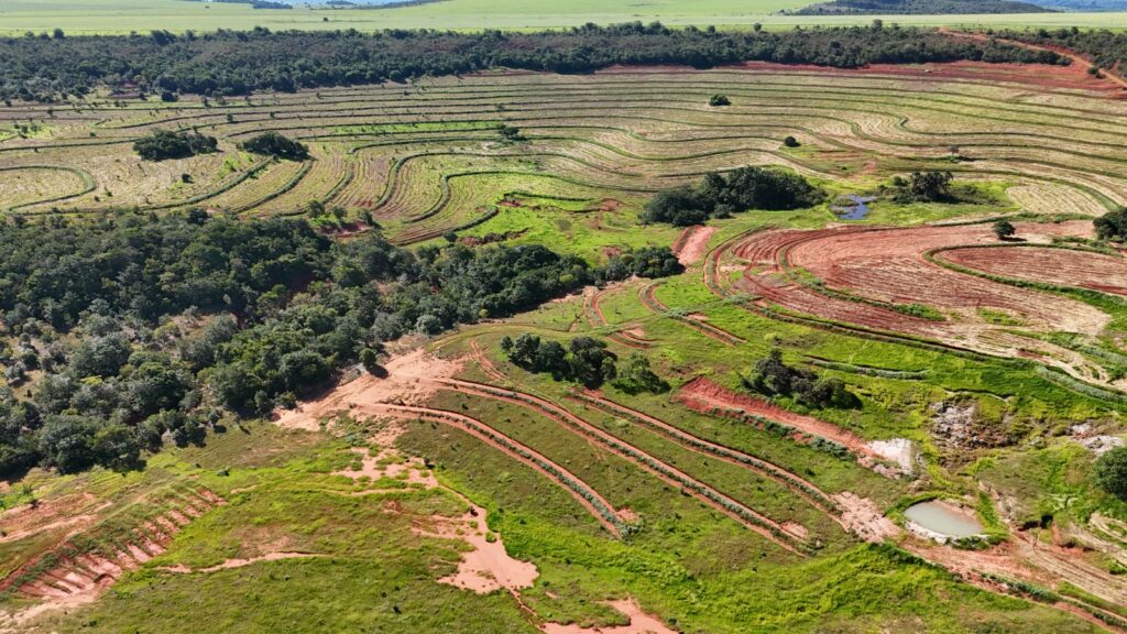 Com plantio de 270 mil mudas no parque estadual do Rio Taquari, MS realiza maior projeto de restauração do país