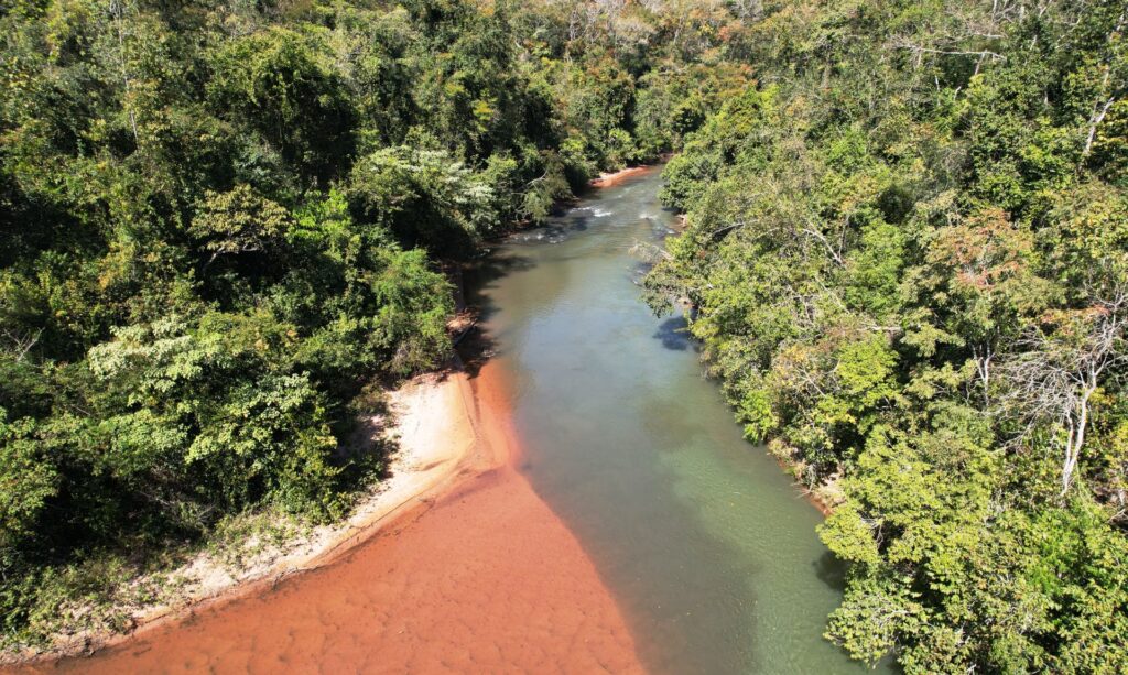 Com plantio de 270 mil mudas no parque estadual do Rio Taquari, MS realiza maior projeto de restauração do país