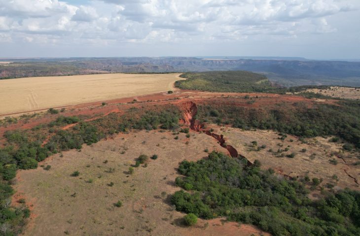 Com plantio de 270 mil mudas no parque estadual do Rio Taquari, MS realiza maior projeto de restauração do país