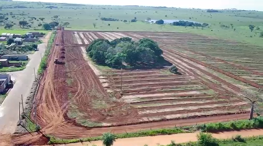 Prefeitura inicia o arruamento do Loteamento Amarildo Cruz após a doação de 736 terrenos