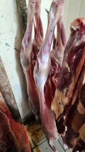 Operação Conjunta resulta na prisão de três suspeitos por comércio de carne clandestina em Paranaíba