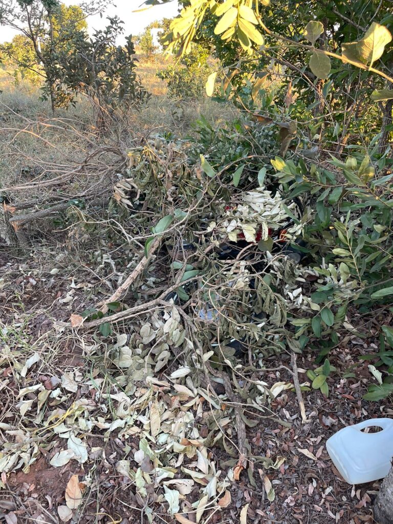 Policiais Militares do 2º BPM recuperam duas motocicletas furtadas no último fim de semana em Três Lagoas