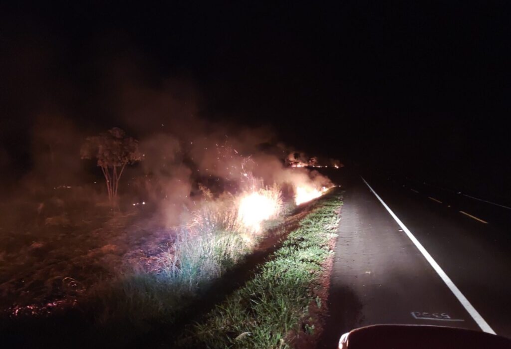 Incêndios florestais no Pantanal e em Naviraí mobilizam bombeiros de MS