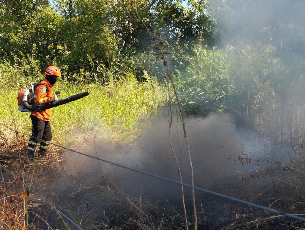 Incêndios florestais no Pantanal e em Naviraí mobilizam bombeiros de MS