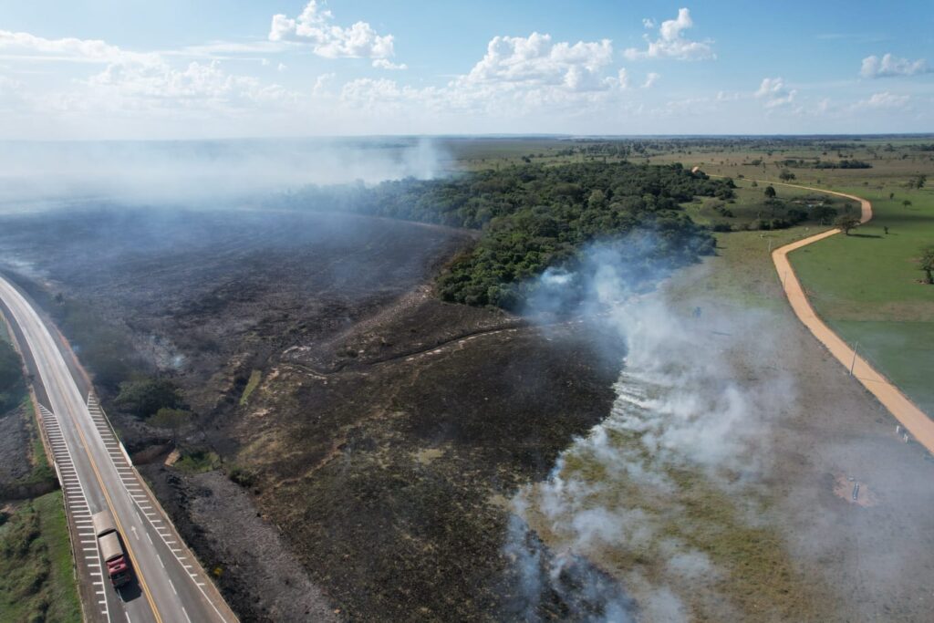 Incêndios florestais no Pantanal e em Naviraí mobilizam bombeiros de MS