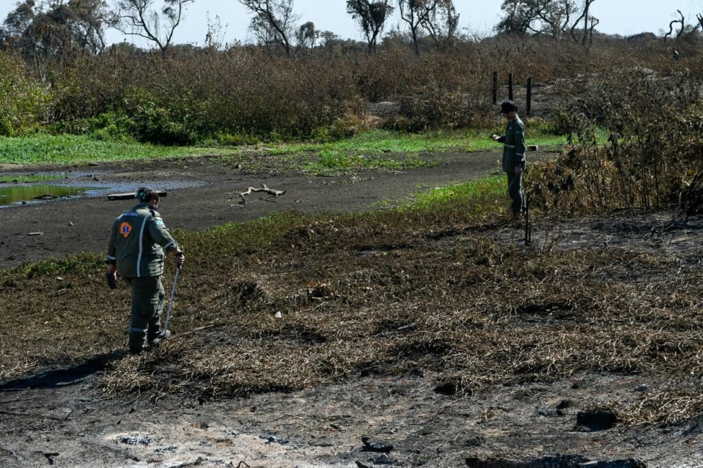 Gretap: equipe do Governo de MS no Pantanal monitora áreas queimadas em busca de animais feridos