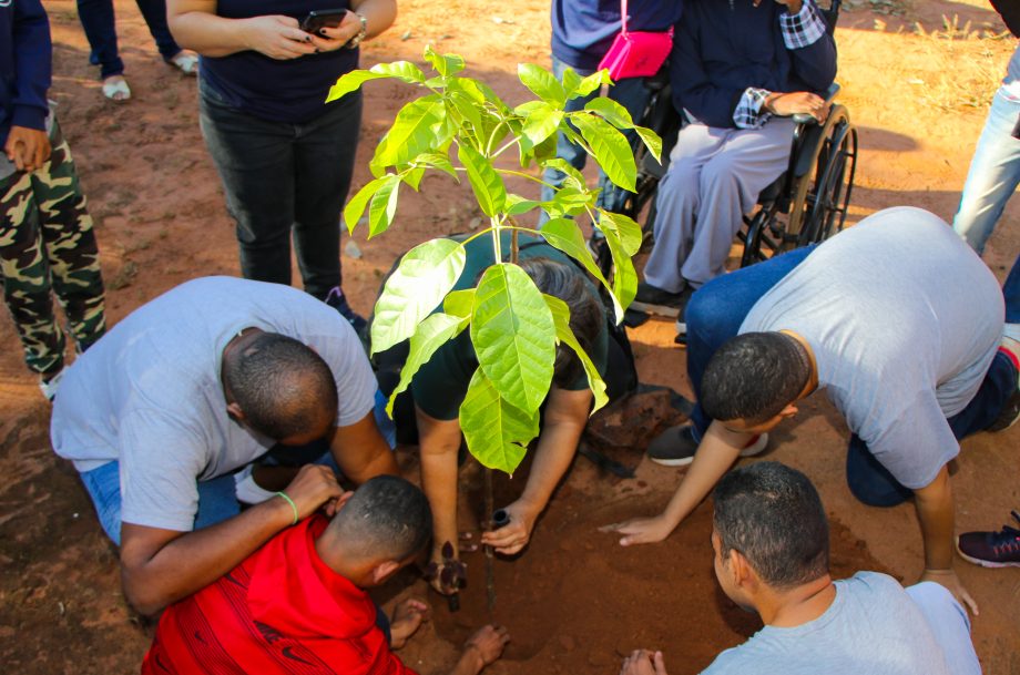 SEMANA DO MEIO AMBIENTE: Alunos da APAE plantam mudas de árvores através do Projeto TL Mais Verde