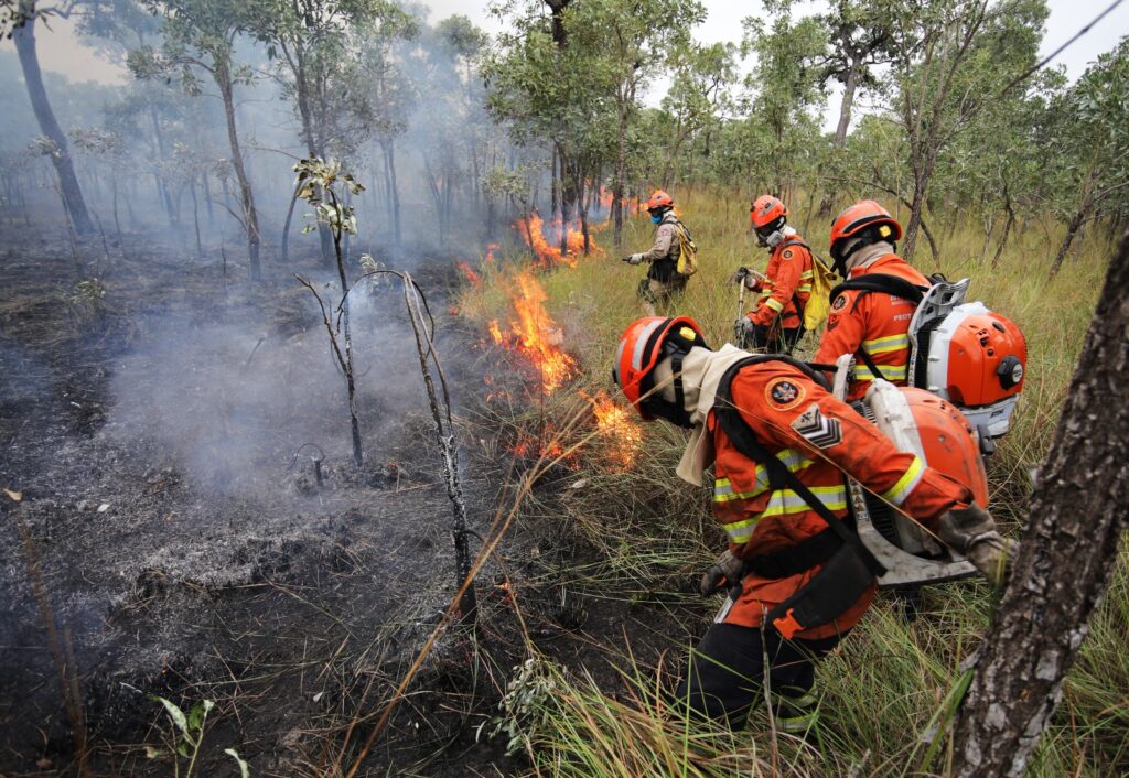 Combate aos incêndios florestais no Pantanal conta com ‘reforço’ de garoa e queda na temperatura