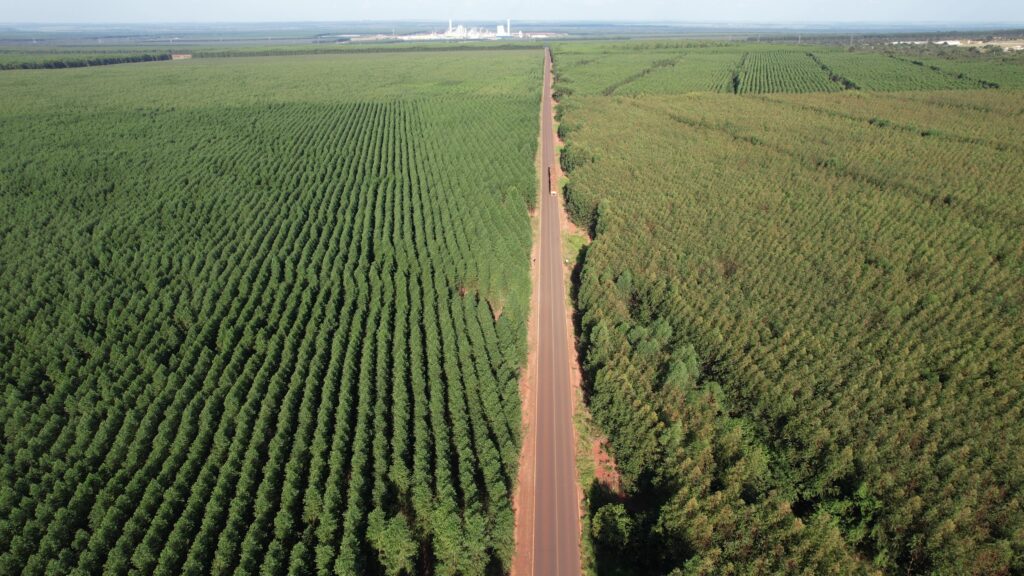 Diretor de Engenharia da Suzano garante que Projeto Cerrado segue sem incidentes e inicia processo de produção neste mês