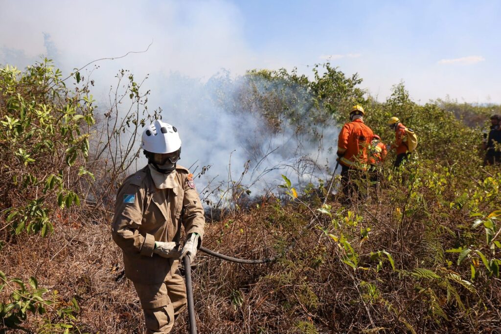 Com seis focos ativos, incêndios no Pantanal são intensificados devido a condições climáticas extremas