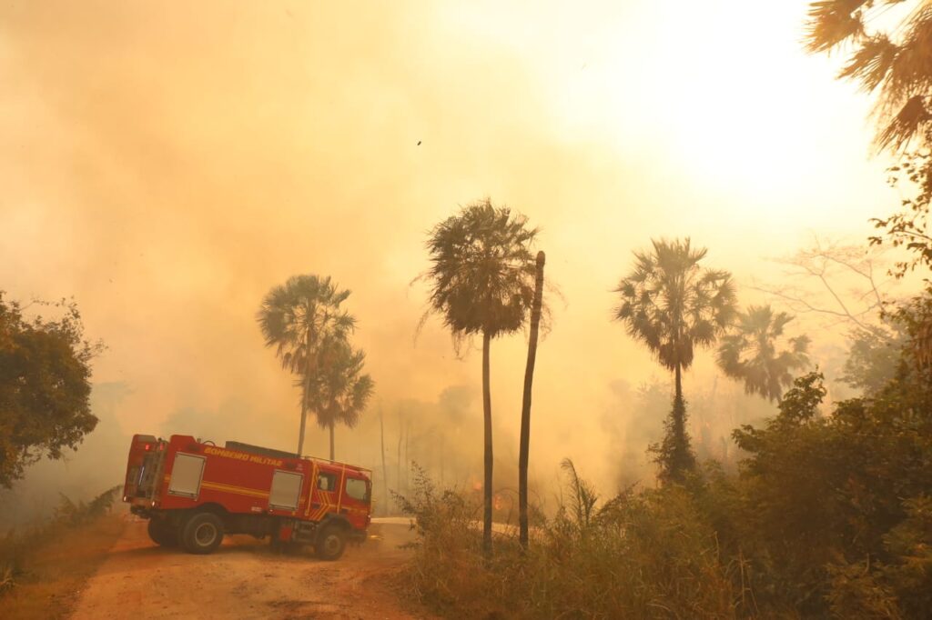 Operação Pantanal: bombeiros de MS lutam para conter grandes chamas na região do Nabileque