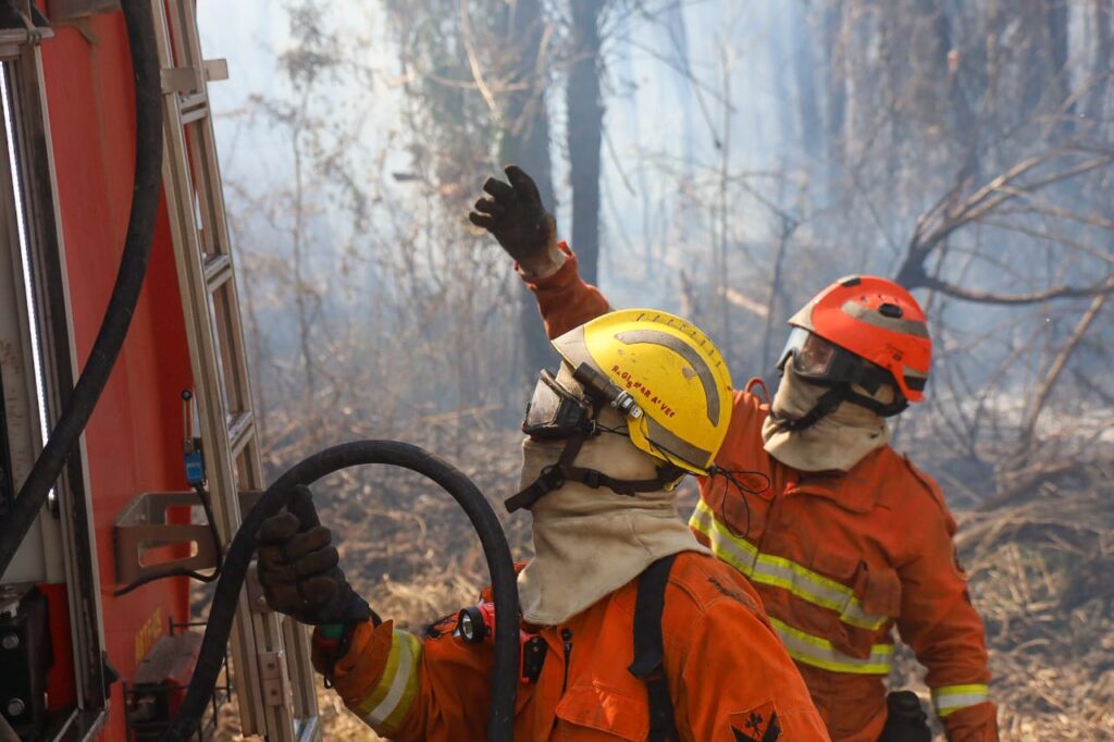 Operação Pantanal: bombeiros de MS lutam para conter grandes chamas na região do Nabileque