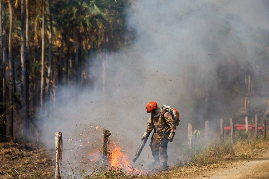 Operação Pantanal: bombeiros de MS lutam para conter grandes chamas na região do Nabileque