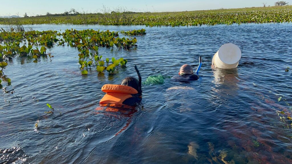 Parceria entre Bioparque, Marinha e universidades possibilita expedição técnica-científica no Pantanal