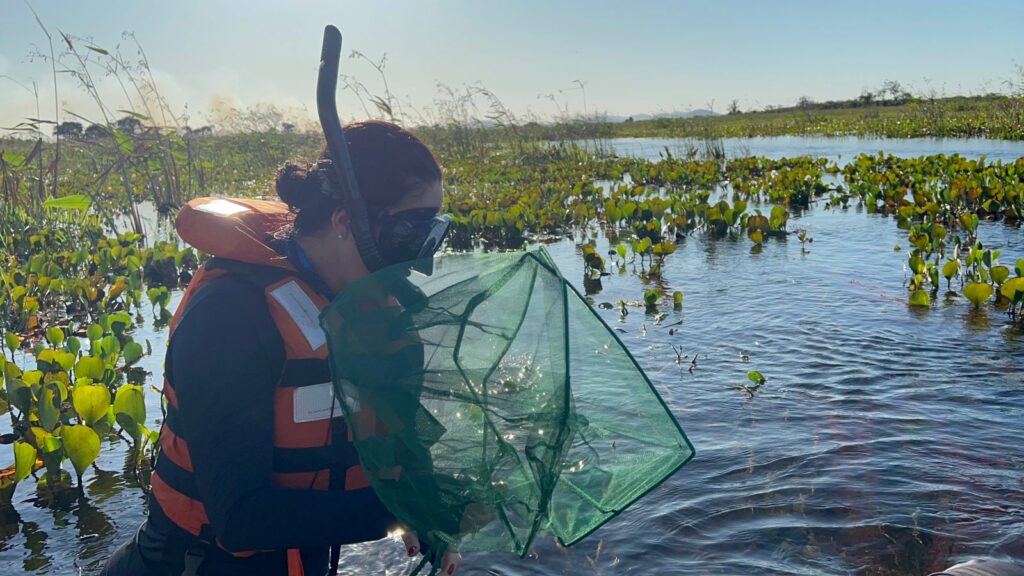 Parceria entre Bioparque, Marinha e universidades possibilita expedição técnica-científica no Pantanal