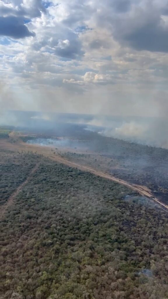 Pantanal tem situação climática severa que intensifica incêndios florestais e oito focos com ações de combate