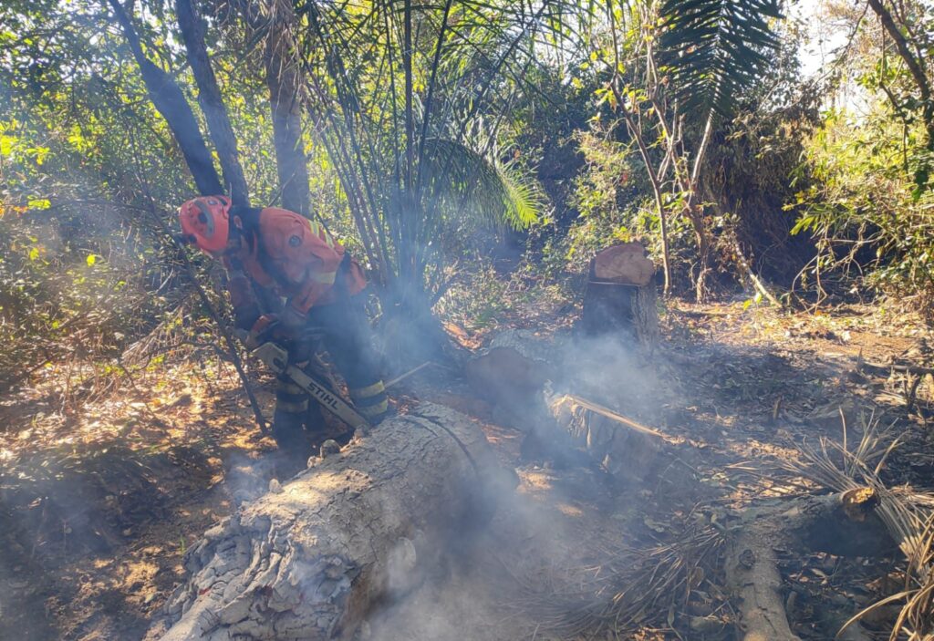 Pantanal de MS tem umidade em 10% e focos ativos em diferentes regiões