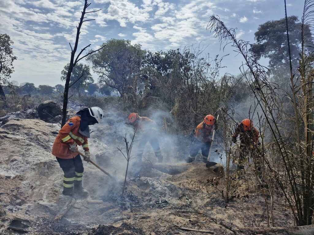 Amor e determinação: mulheres têm papel de destaque no combate aos incêndios no Pantanal