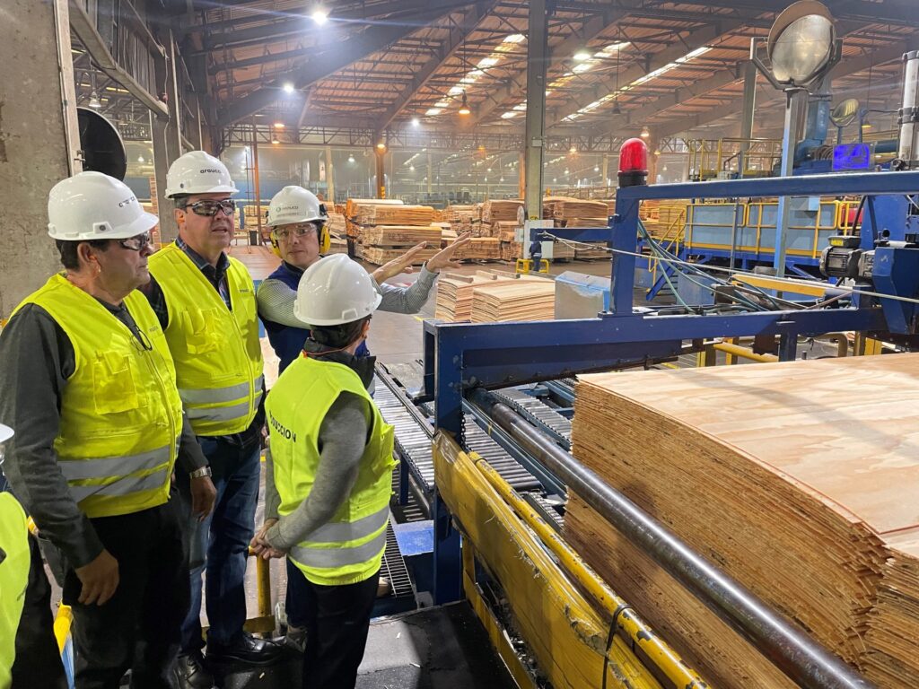 Conselho da Arauco aprova investimentos de R$ 25,1 bilhões para a fábrica de celulose em Inocência