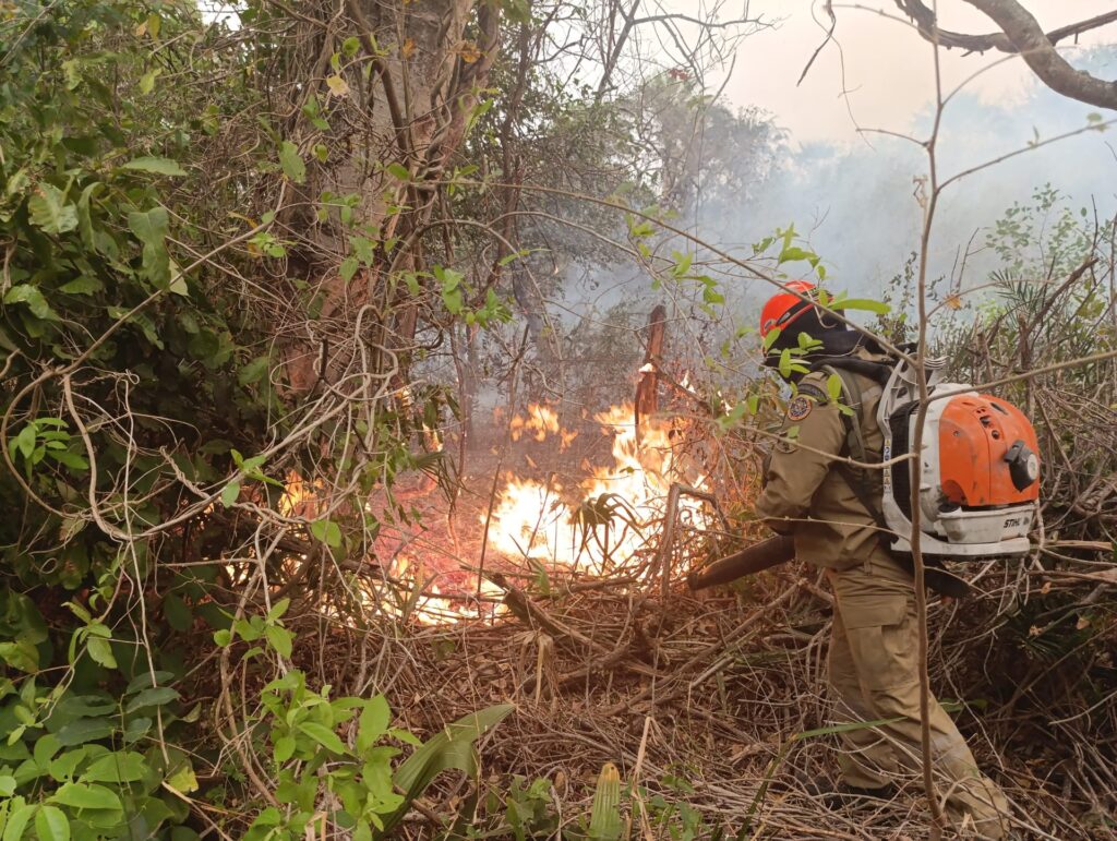 Bombeiros atuam no controle de incêndios florestais em MS e ribeirinhos serão atendidos em ação humanitária