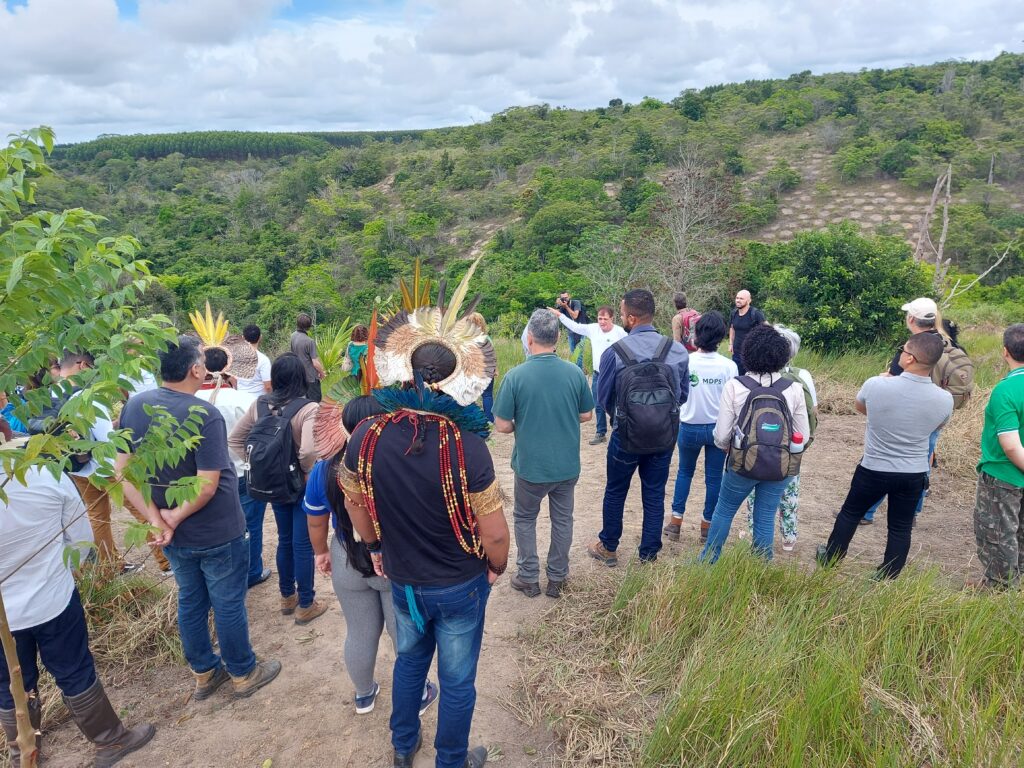 INovaland® estabelece raízes no Brasil para melhor atender comunidades e às partes interessadas na restauração de florestas