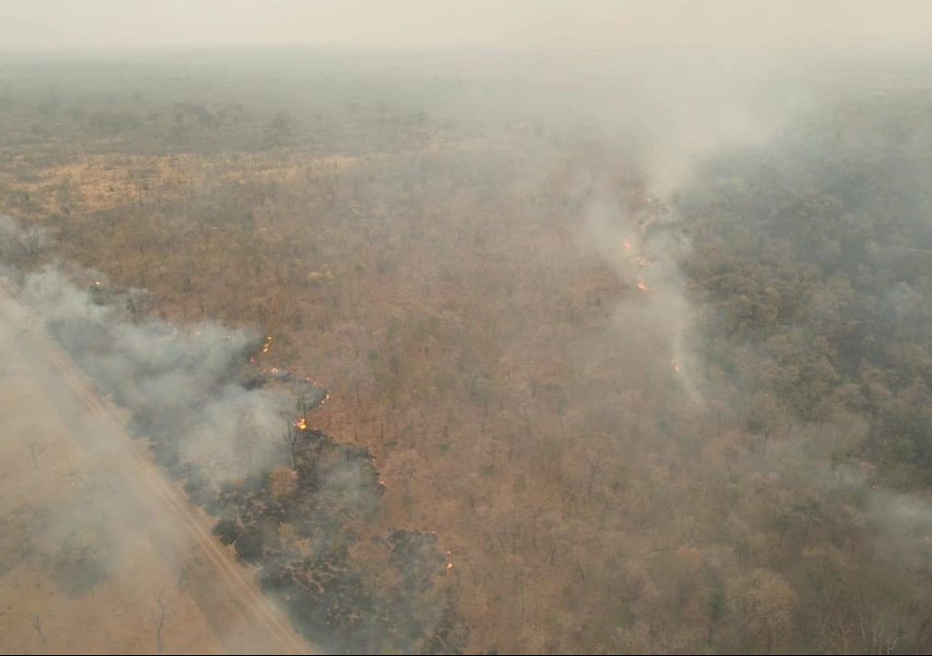 Situação de seca em MS intensifica incêndios florestais e trabalho de combate em todos os biomas