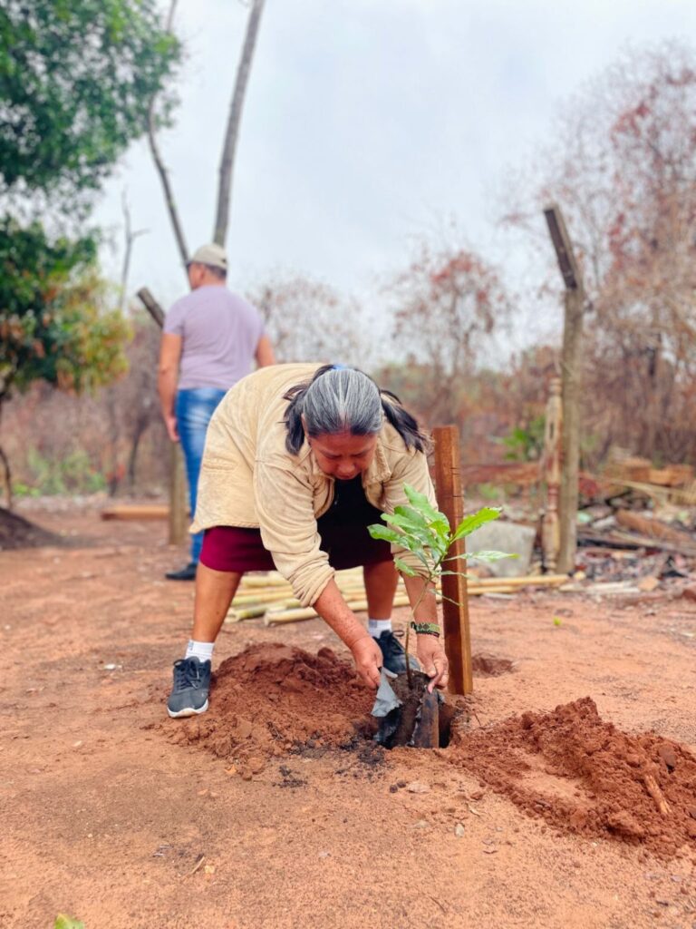 Ação Cidadania ECOmunitária planta árvores e semeia a ideia de que o futuro é ancestral