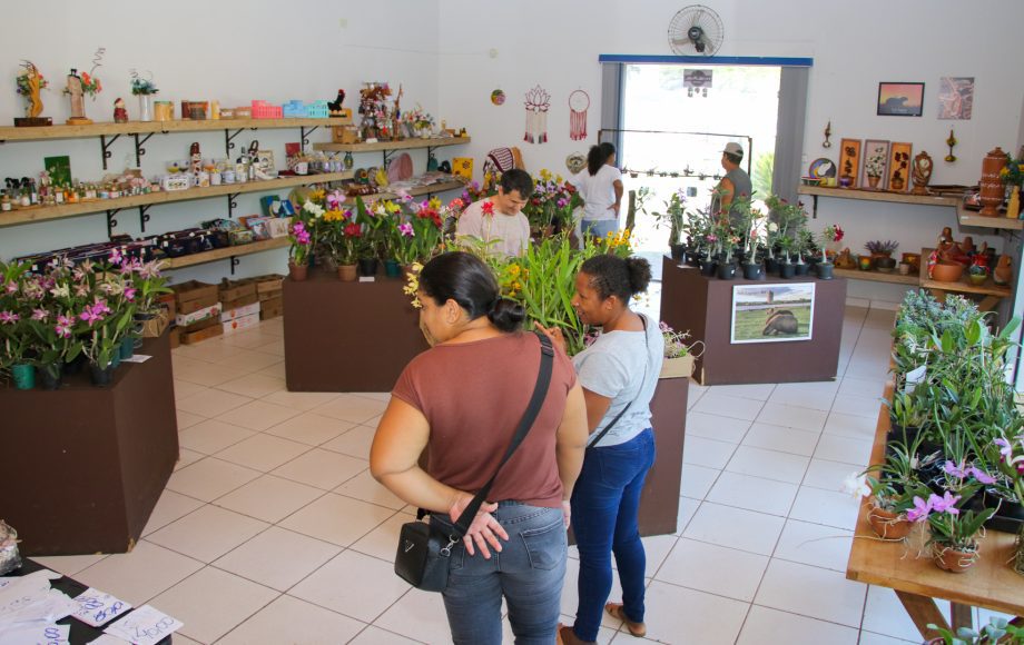 Exposição de Orquídeas e Rosas do Deserto acontece nesta quinta e sexta-feira na Casa do Artesão