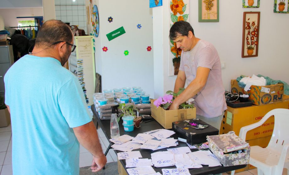 Exposição de Orquídeas e Rosas do Deserto acontece nesta quinta e sexta-feira na Casa do Artesão