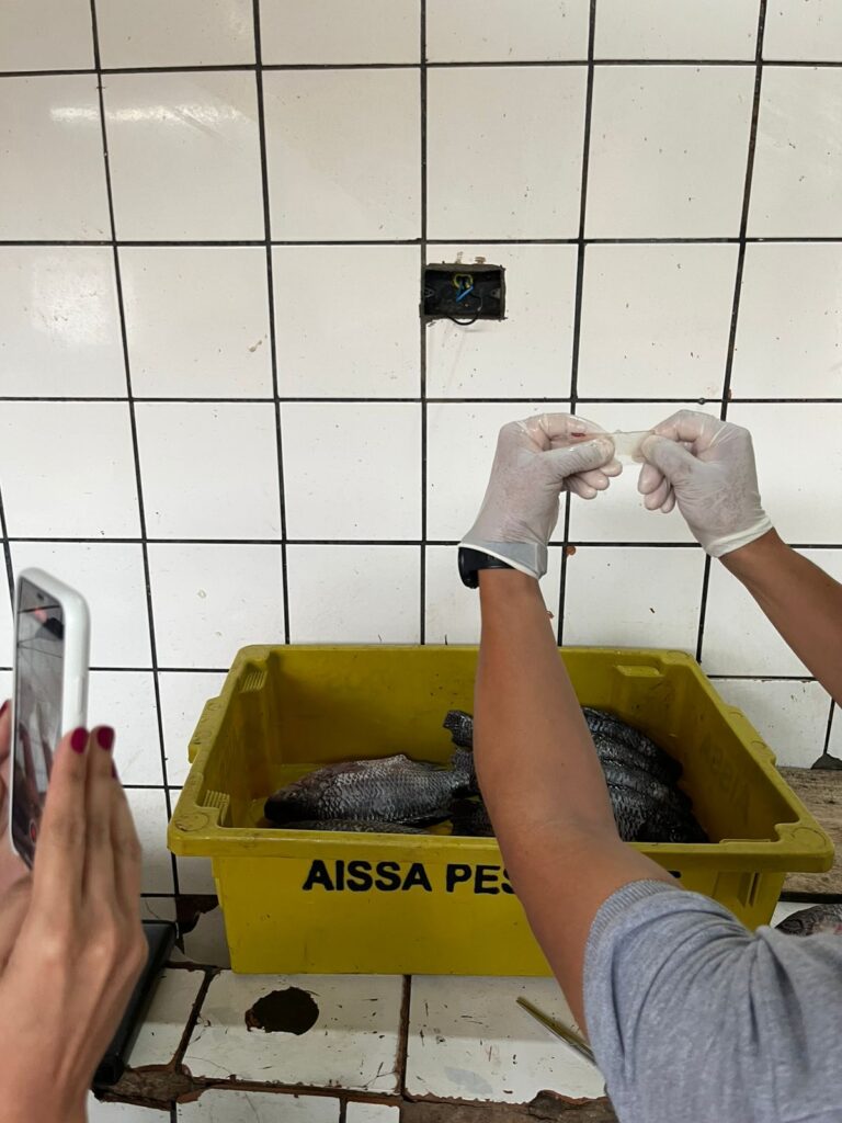 Polícia Civil recupera em Três Lagoas peixes furtados de empresa de Selvíria e PMA autua dono de venda por pesca proibida