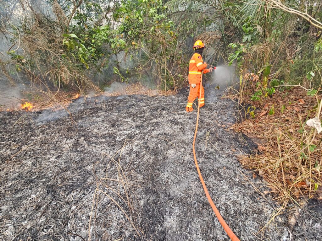 Em 12 dias, chuvas acima da média contribuem para controlar focos de incêndios no Pantanal de MS