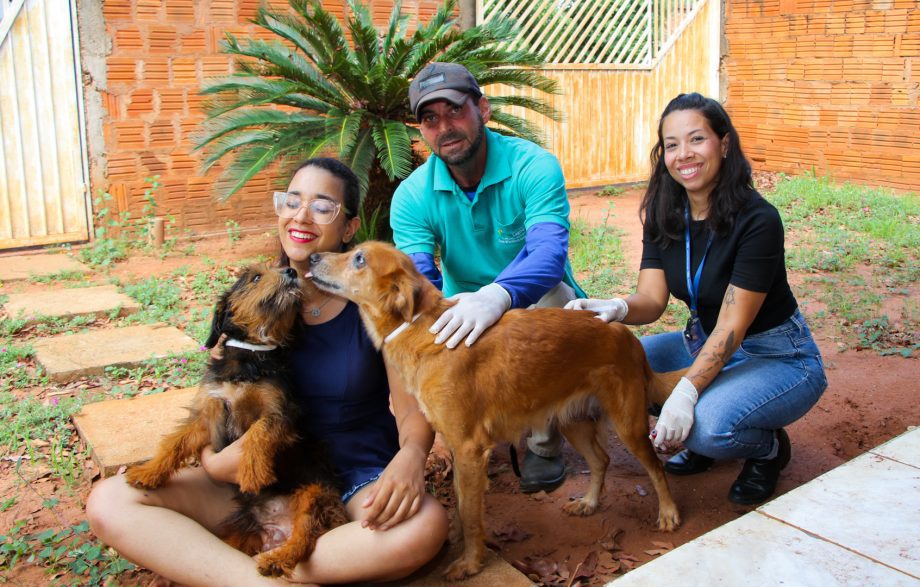 ENCOLEIRA CÃO – 5ª etapa do projeto inicia com ação preventiva contra a Leishmaniose em Três Lagoas