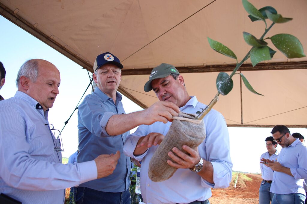 Com citricultura em expansão, produção de gigante do setor de laranja está em pleno vapor em MS