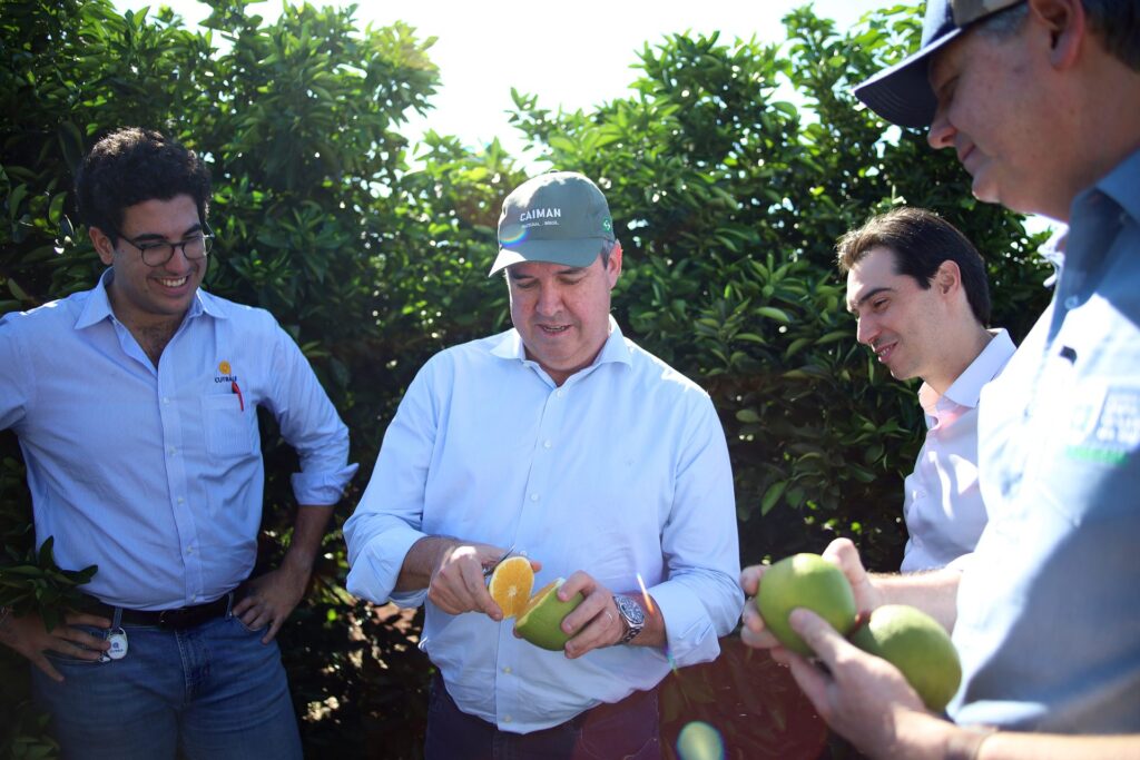 Com citricultura em expansão, produção de gigante do setor de laranja está em pleno vapor em MS