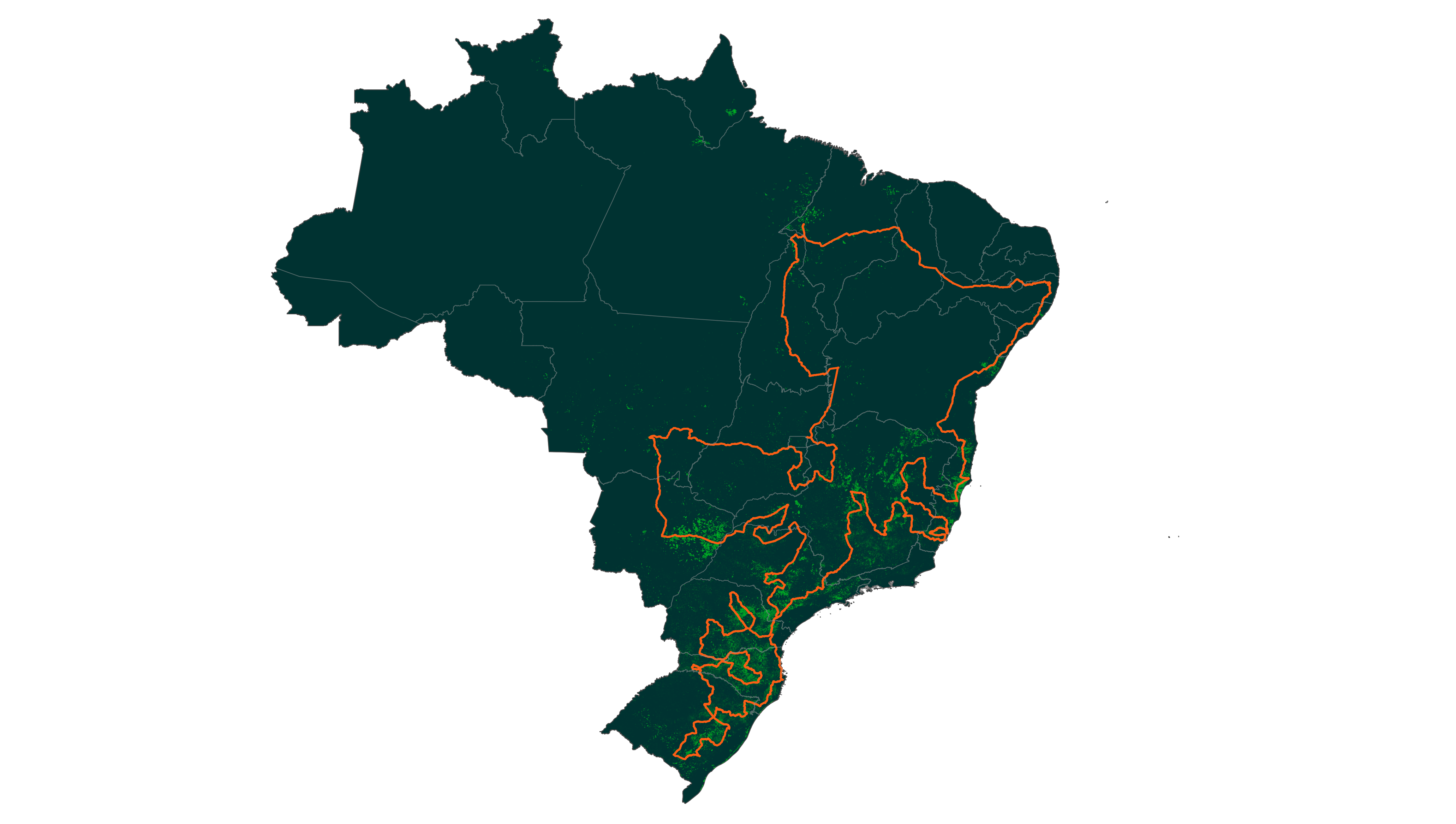 Expedição Silvicultura vai produzir o maior levantamento sobre a produtividade das plantações florestais brasileiras