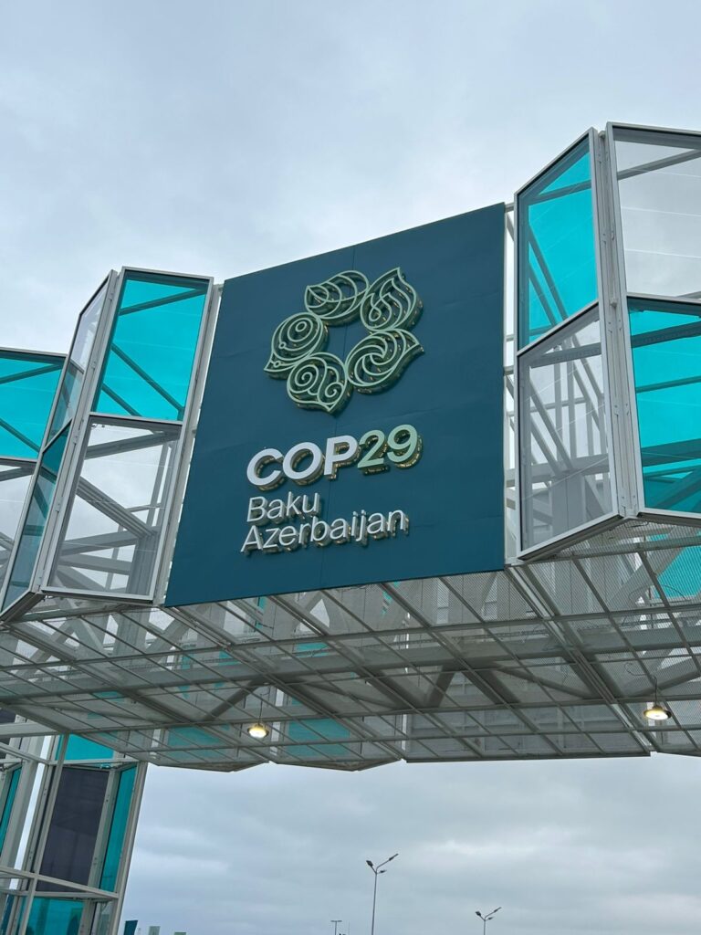 Na COP29, delegação de MS debate medidas de mitigação da seca no Pantanal e mercado de carbono