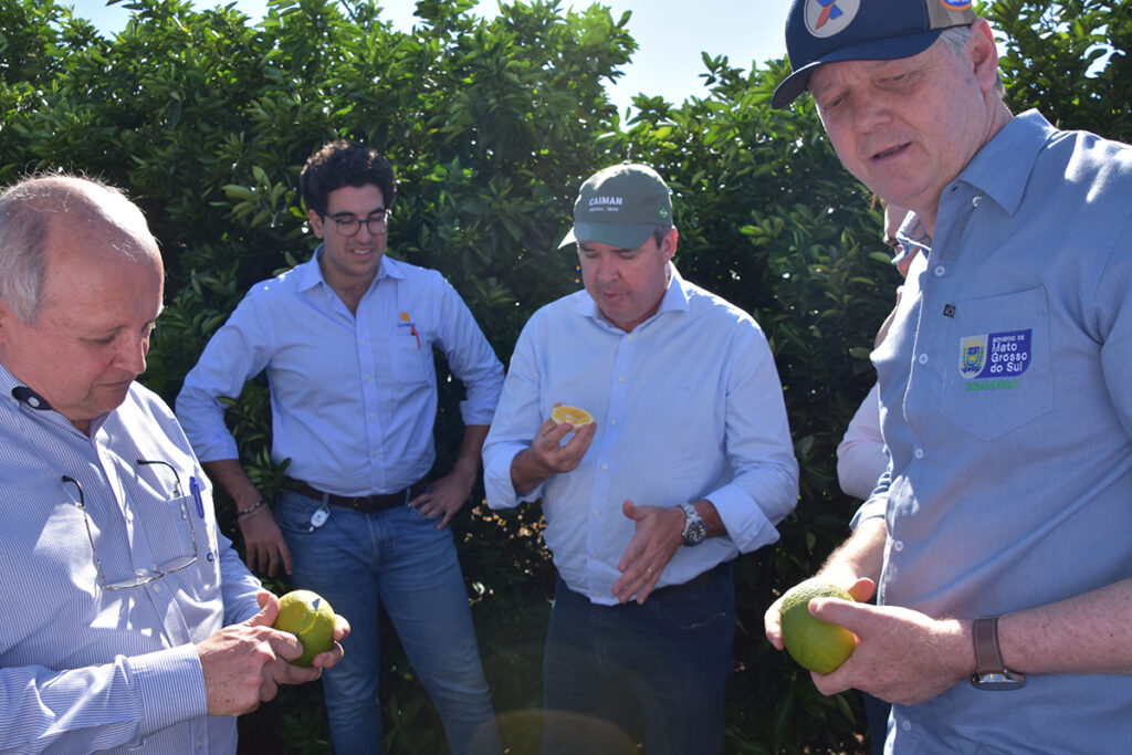 Vice-presidente da Fiems conhece plantio de laranja de gigante mundial da citricultura